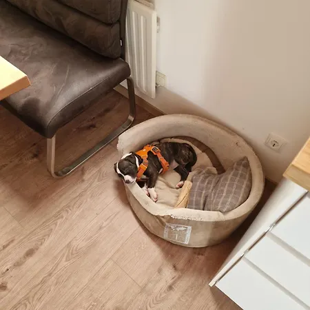 Fini Hébergement de vacances *