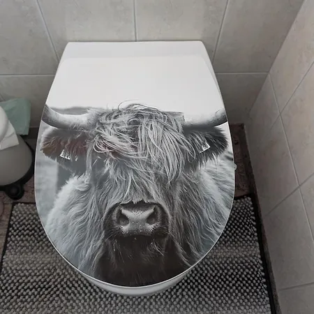 Fini * ブラームベルク・アム・ヴィルトコーゲル