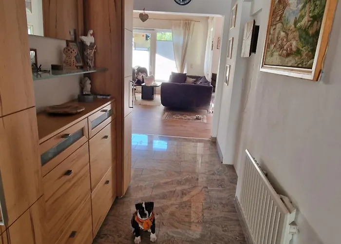 بيت للعطل Fini