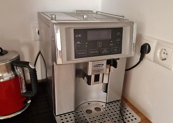 Fini * برامبرغ ام ويلدكوغه