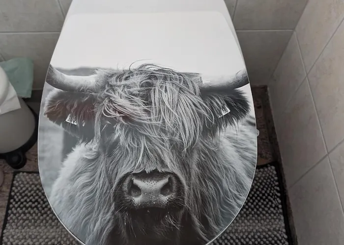 Fini * برامبرغ ام ويلدكوغه