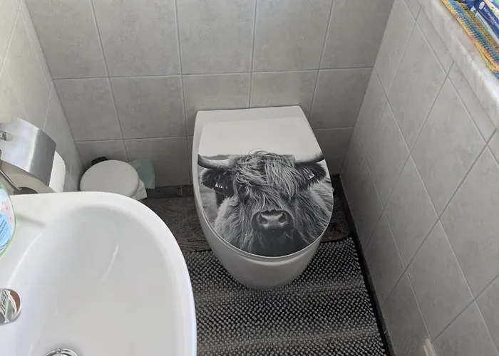 Fini بيت للعطل